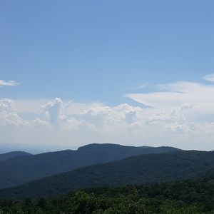 Meet your Posher, Chad